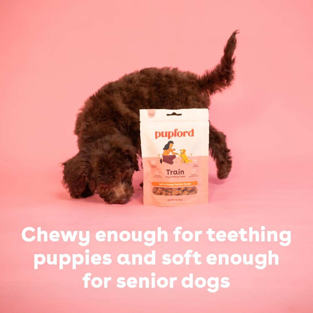 Soft & Chewy Training Treats for Dogs & Puppies Chicken 5 oz J166