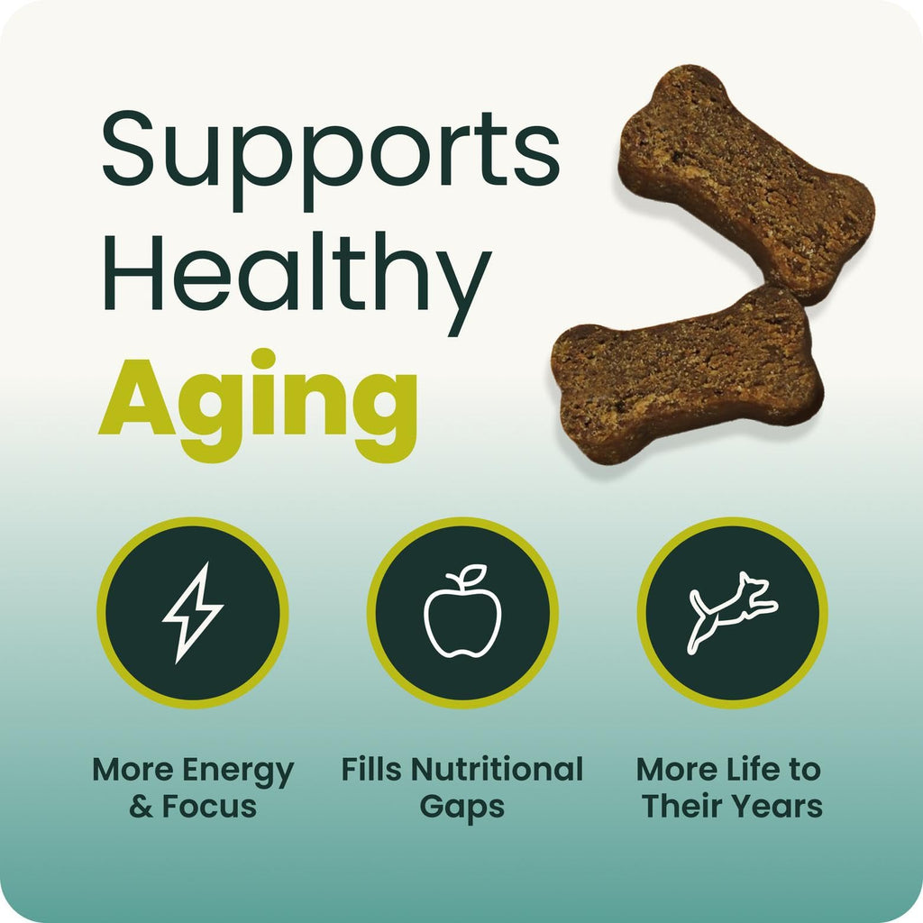 Senior Multivitamin for Dogs, 60 Count J828875