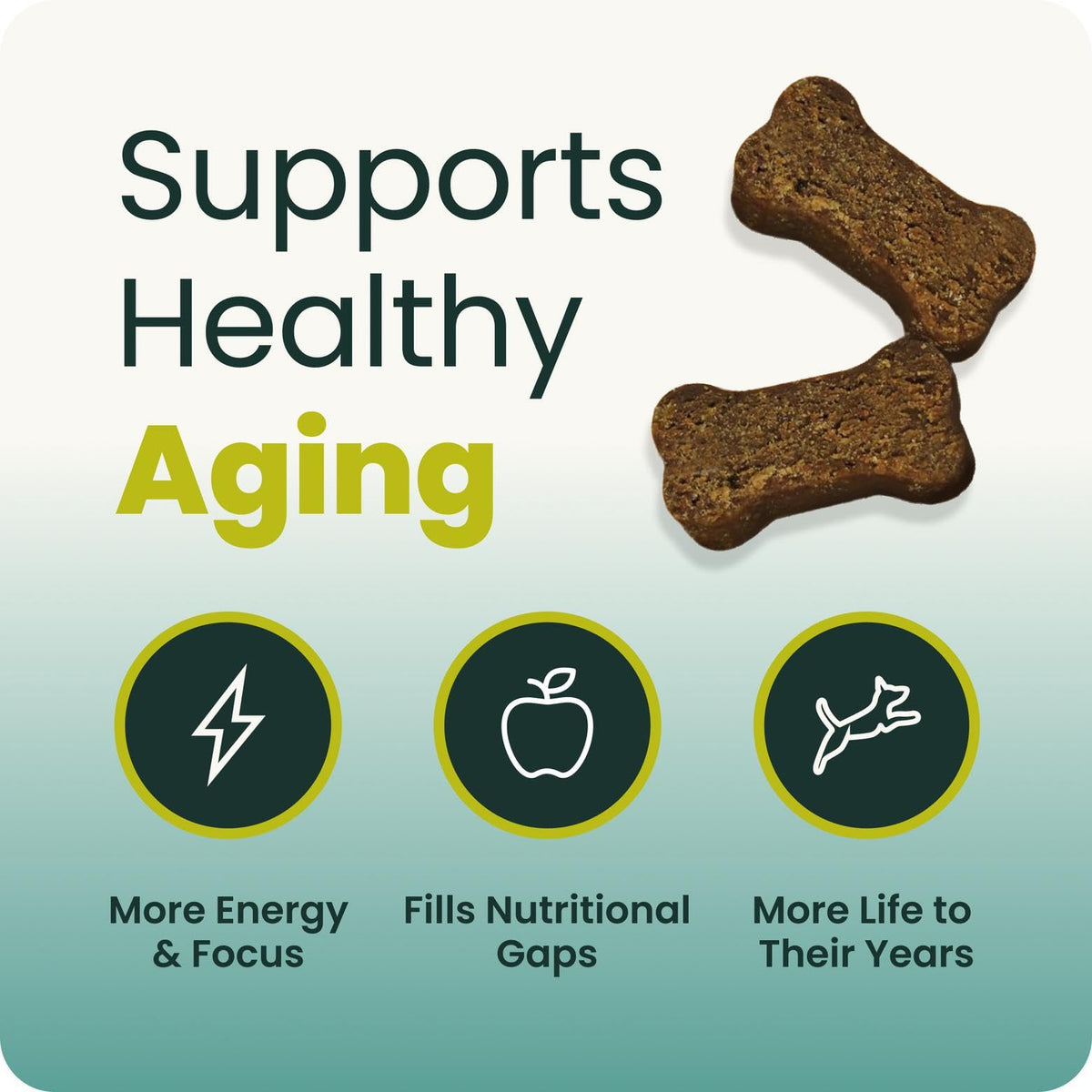 Senior Multivitamin for Dogs, 60 Count J828875