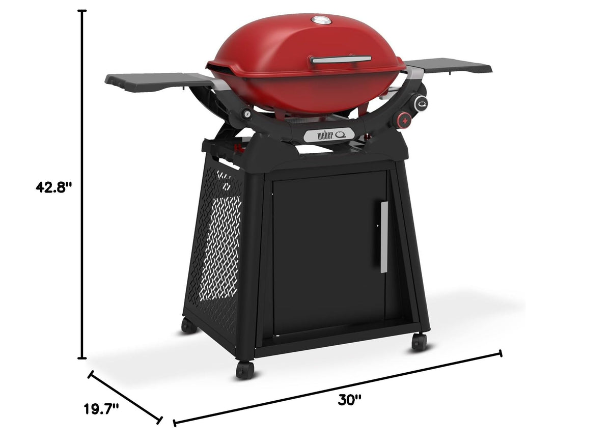 Liquid Propane Grill with Stand A2836