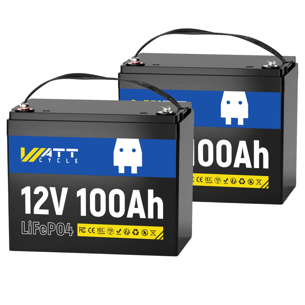 12V 100Ah LiFePO4 Battery 2 Pack O244