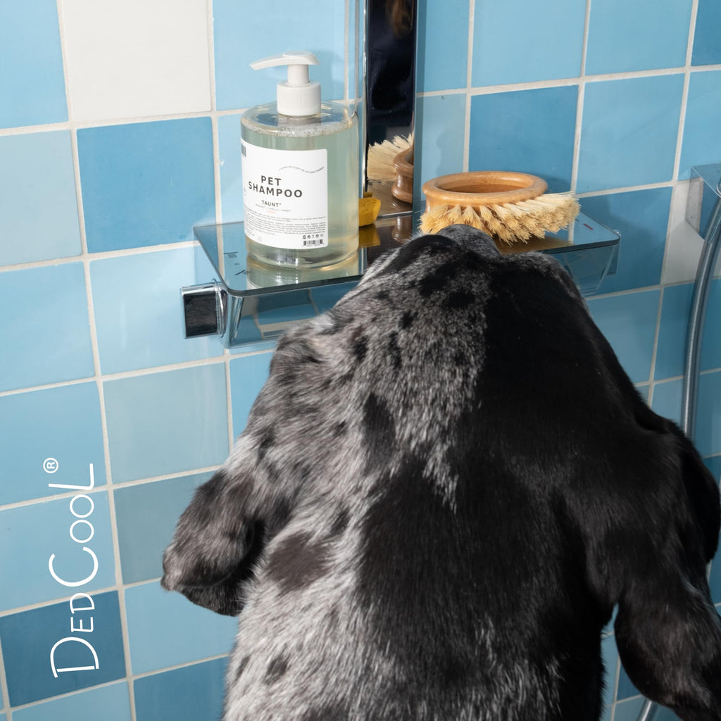 Pet Shampoo 16.9 fl oz J377