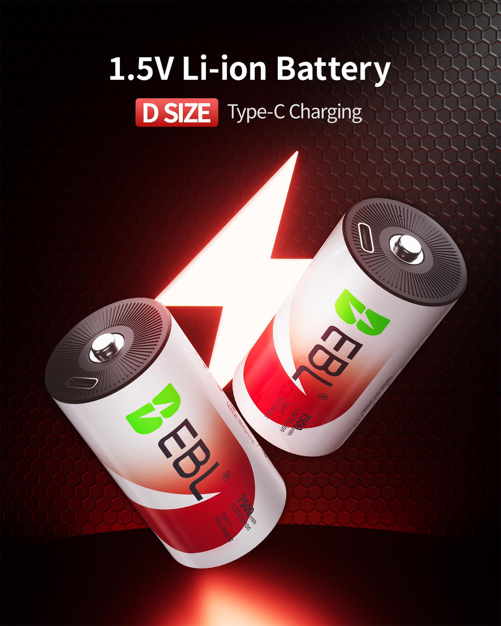 Rechargeable D Batteries 4 Pack R93496