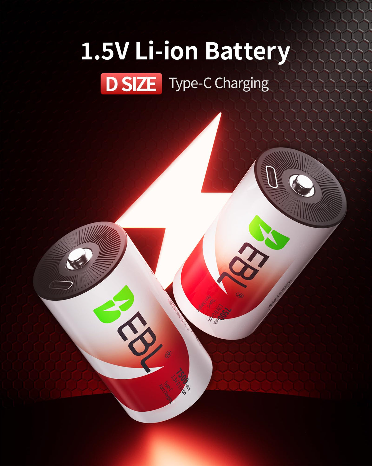 Rechargeable D Batteries 4 Pack R93496