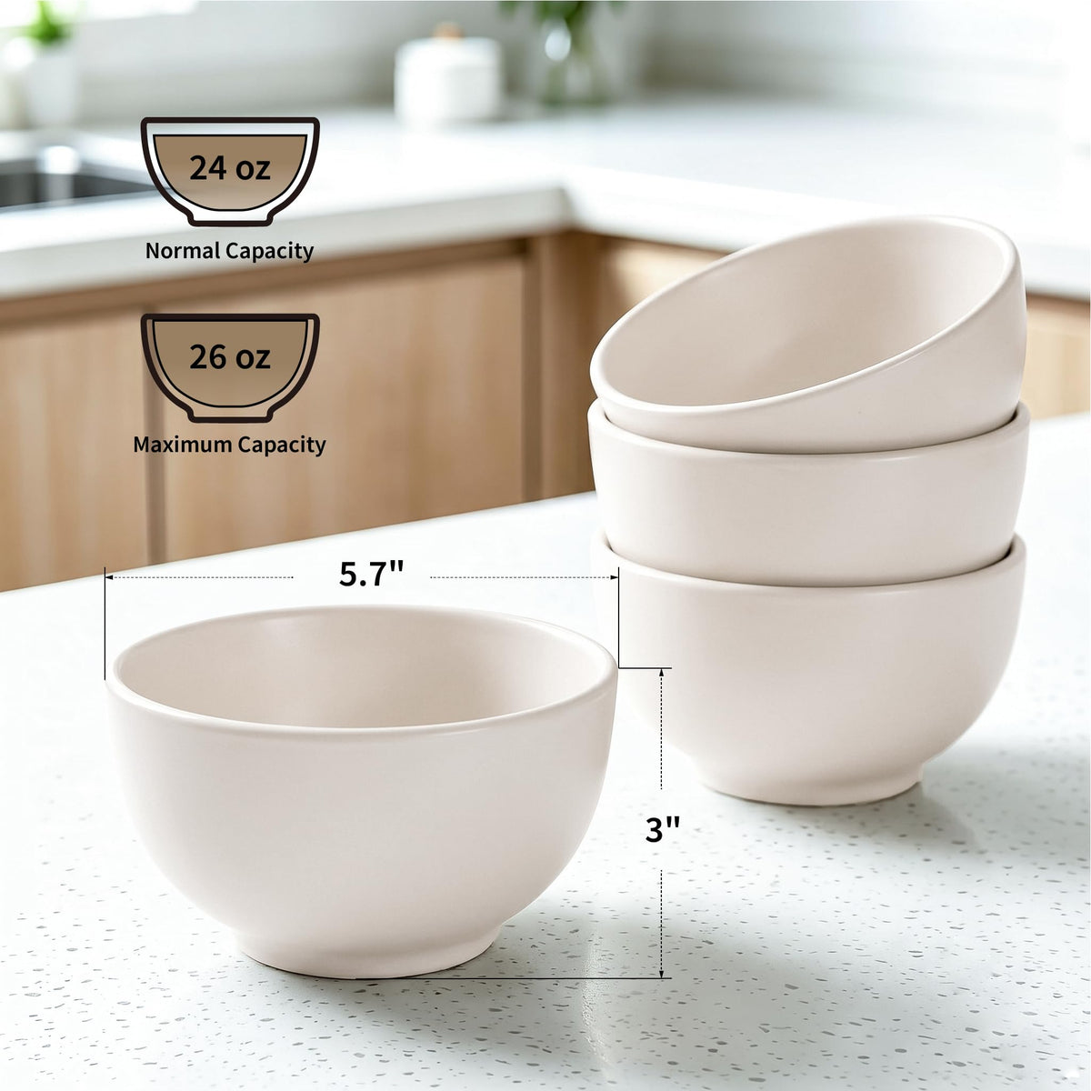Ceramic Soup Bowls Set of 4 J40014