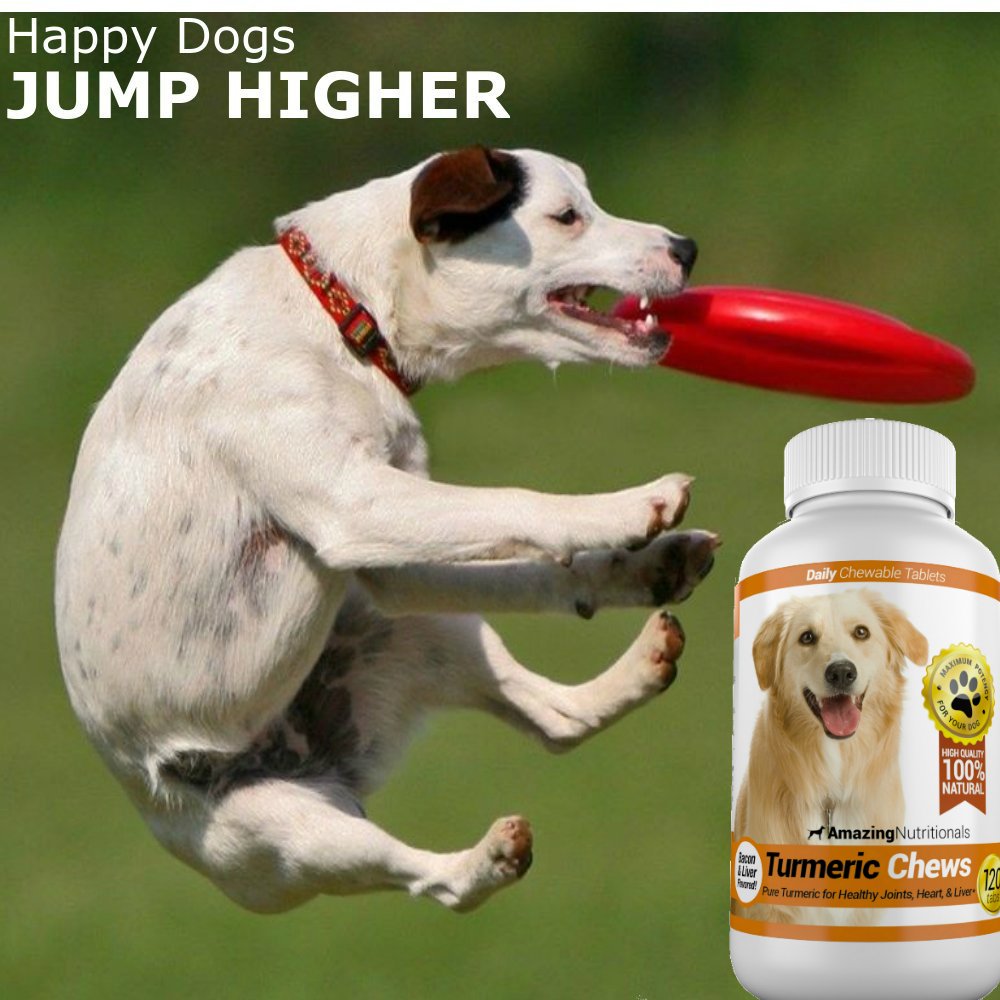 120 Chews Turmeric Curcumin Pet Antioxidant R491997