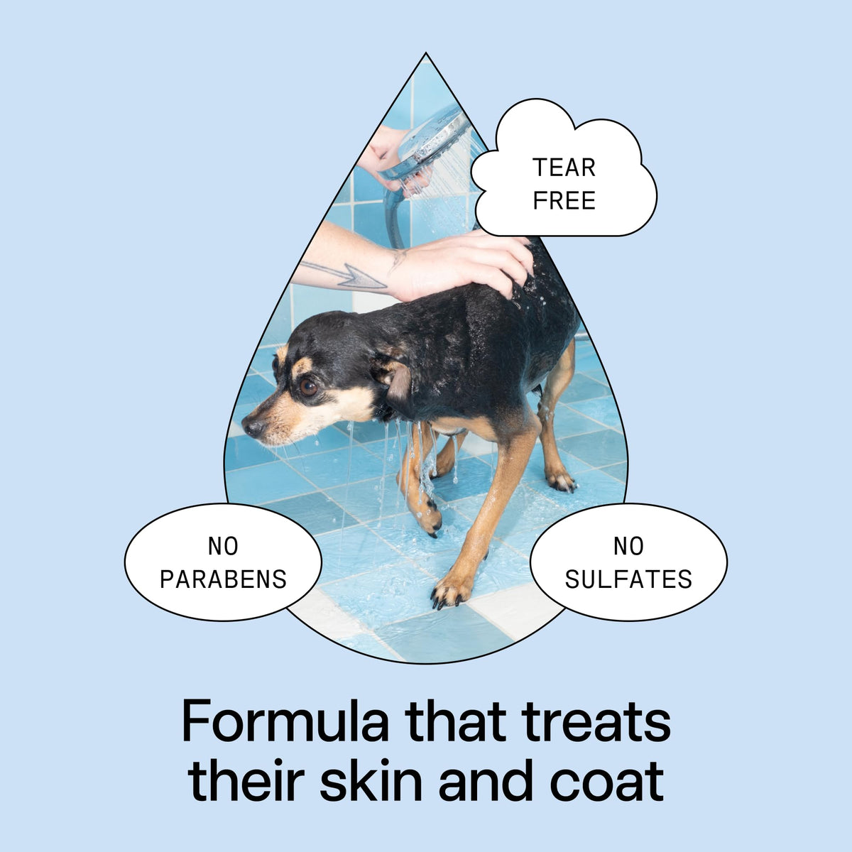 Pet Shampoo 16.9 fl oz J377