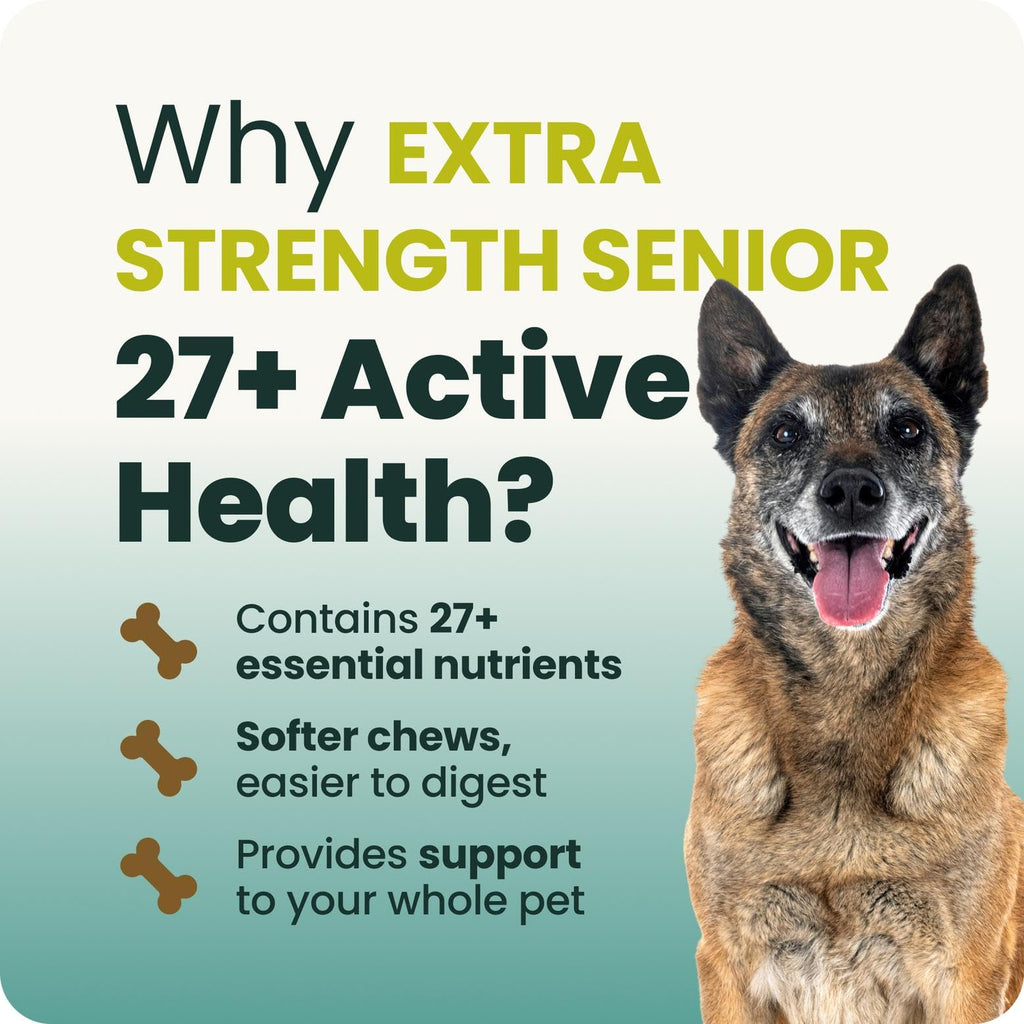Senior Multivitamin for Dogs, 60 Count J828875