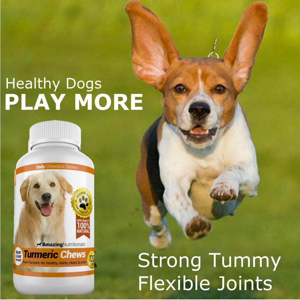 120 Chews Turmeric Curcumin Pet Antioxidant R491997