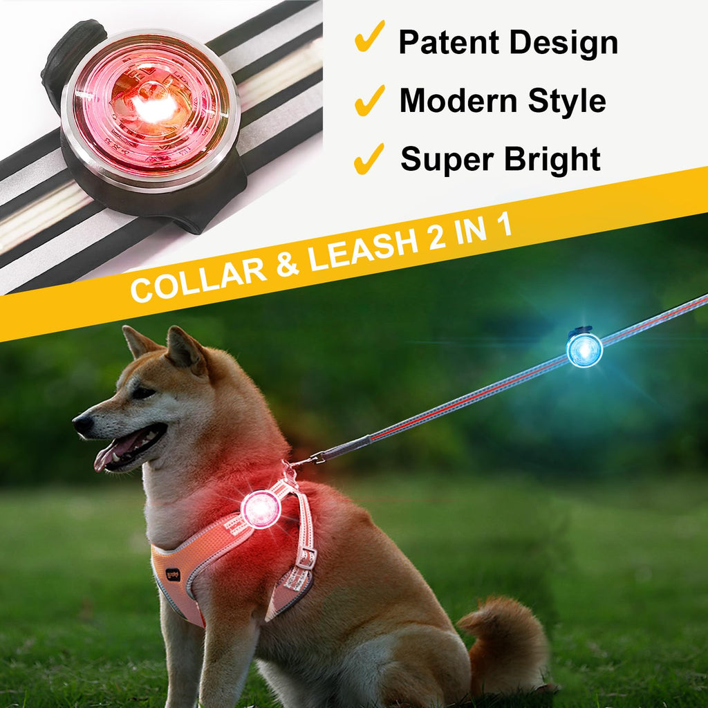 2-Pack Rechargeable Dog Collar Lights T221570