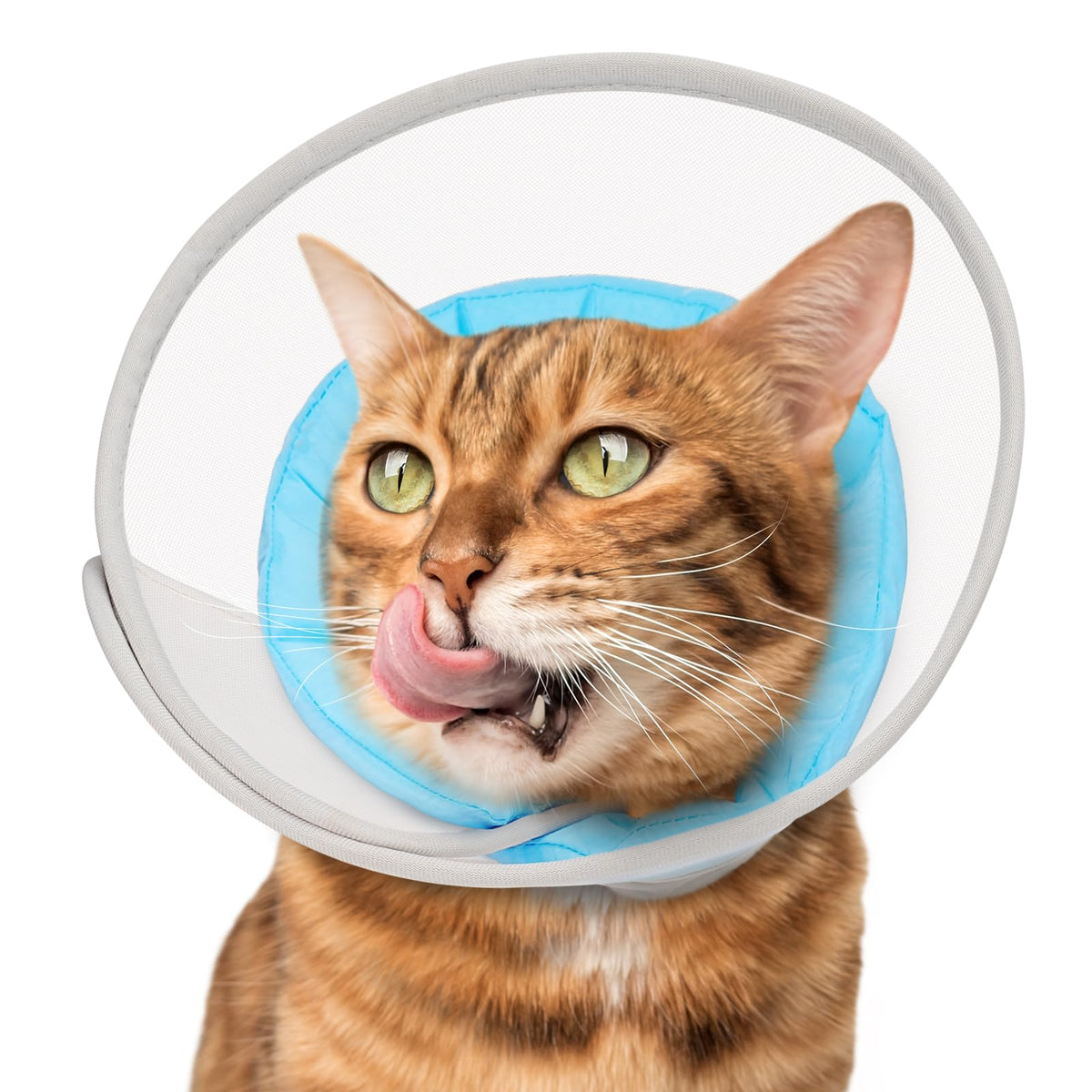 Soft Waterproof Mesh Cat Recovery Cone Collar Y90052