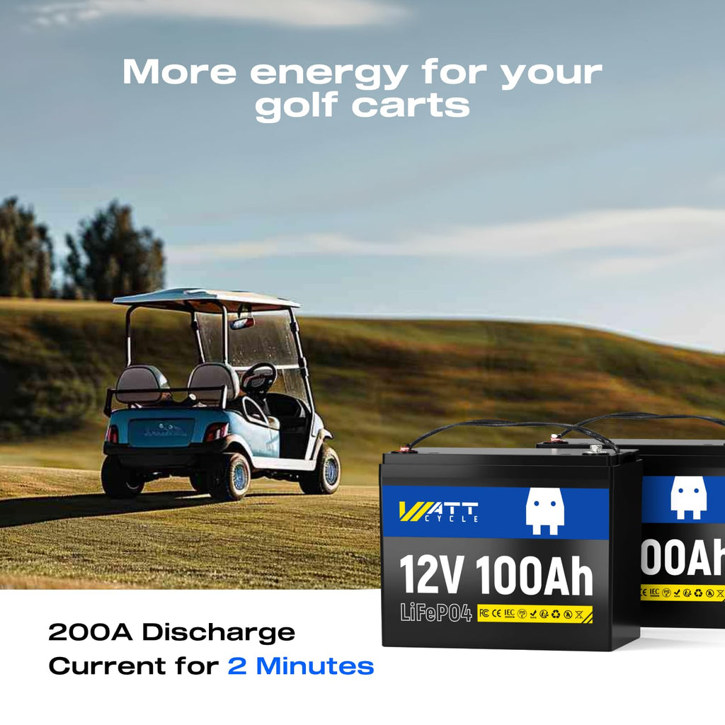 12V 100Ah LiFePO4 Battery 2 Pack O244