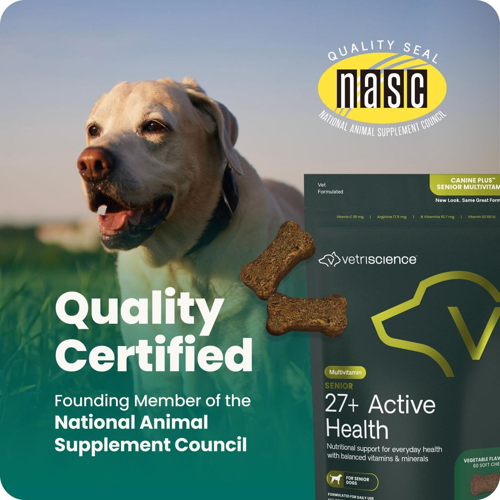 Senior Multivitamin for Dogs, 60 Count J828875