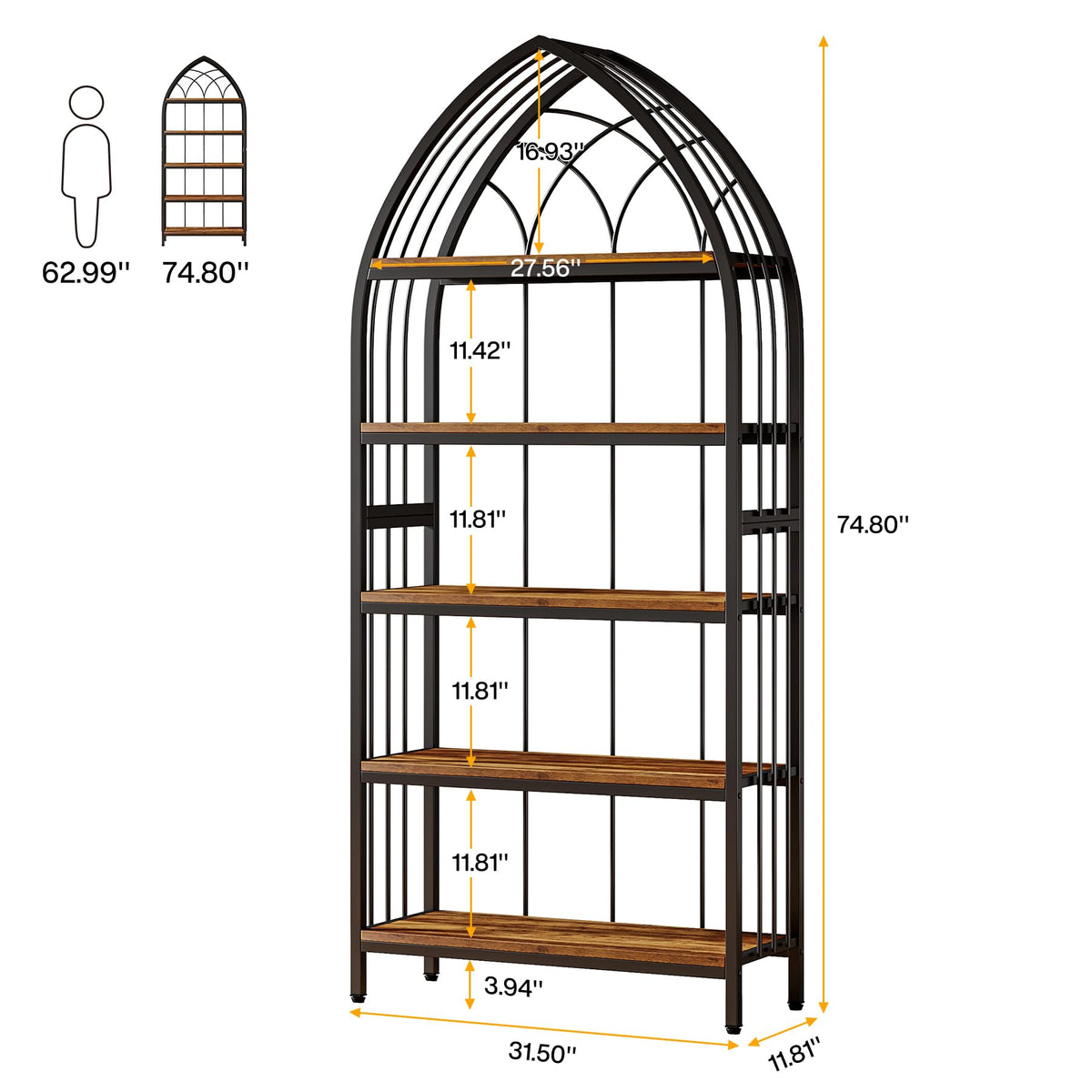 5-Tier 74.8-Inch Tall Curved Wood Bookshelf with Metal Frame R113