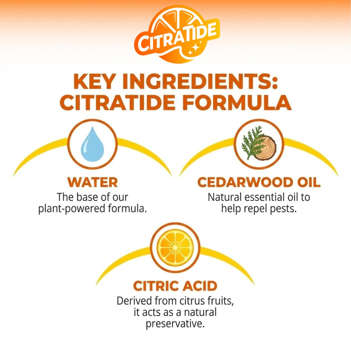 Plant-Based Cedarwood & Citrus Flea Tick & Mosquito Spray for Dogs 16 fl oz O57048