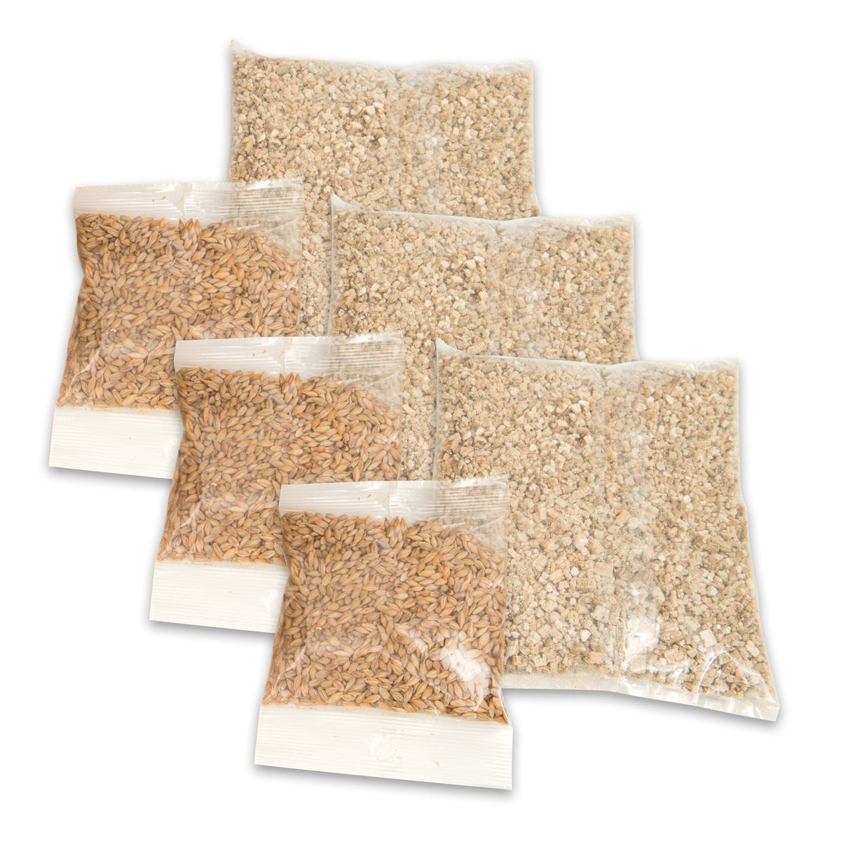 Cat Grass Seeds Set of 3 Q880263
