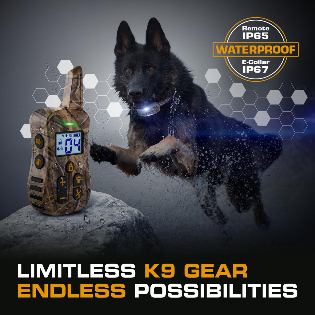 Dog Training Collar with Remote S18989