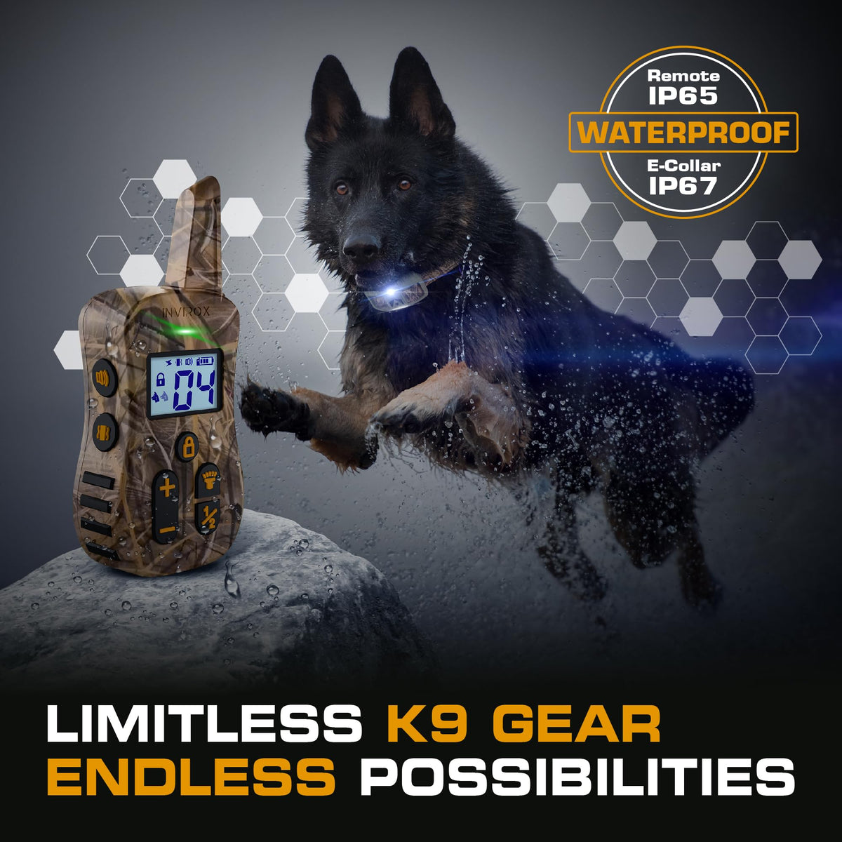 Dog Training Collar with Remote S18989