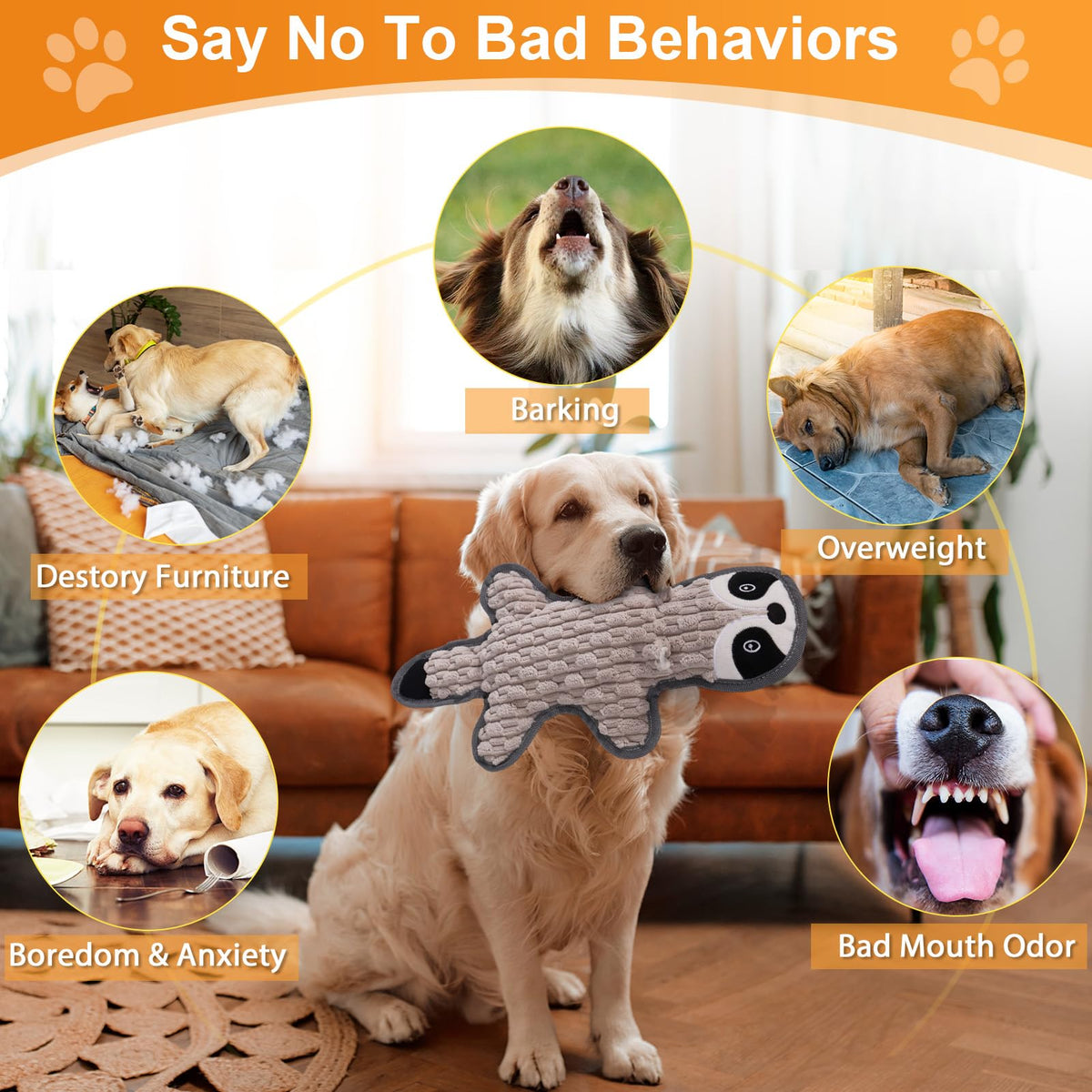 5 Pack Squeaky Plush Dog Toys with Crinkle Paper A157