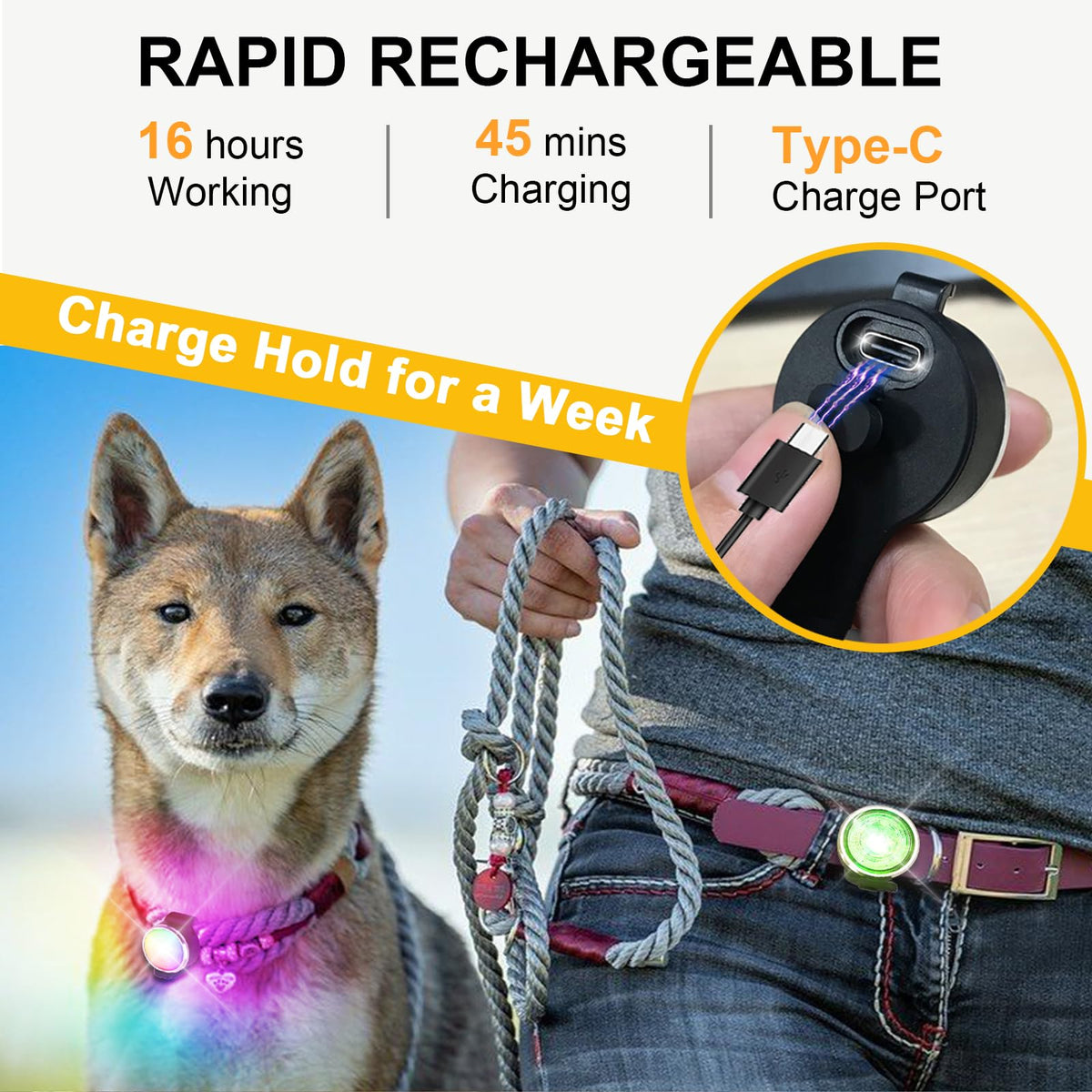 2-Pack Rechargeable Dog Collar Lights T221570