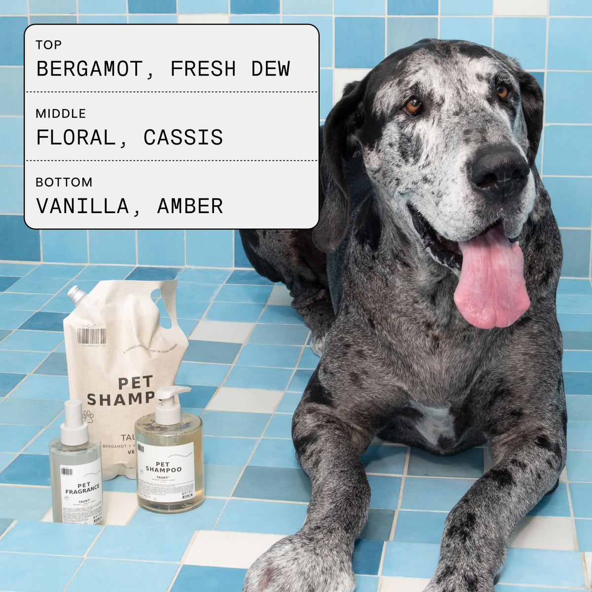 Pet Shampoo 16.9 fl oz J377