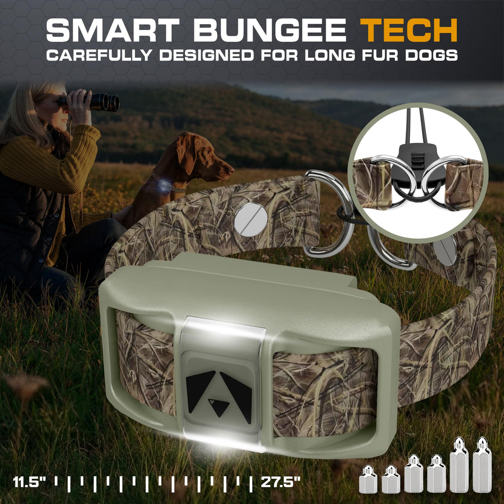Dog Training Collar with Remote S18989