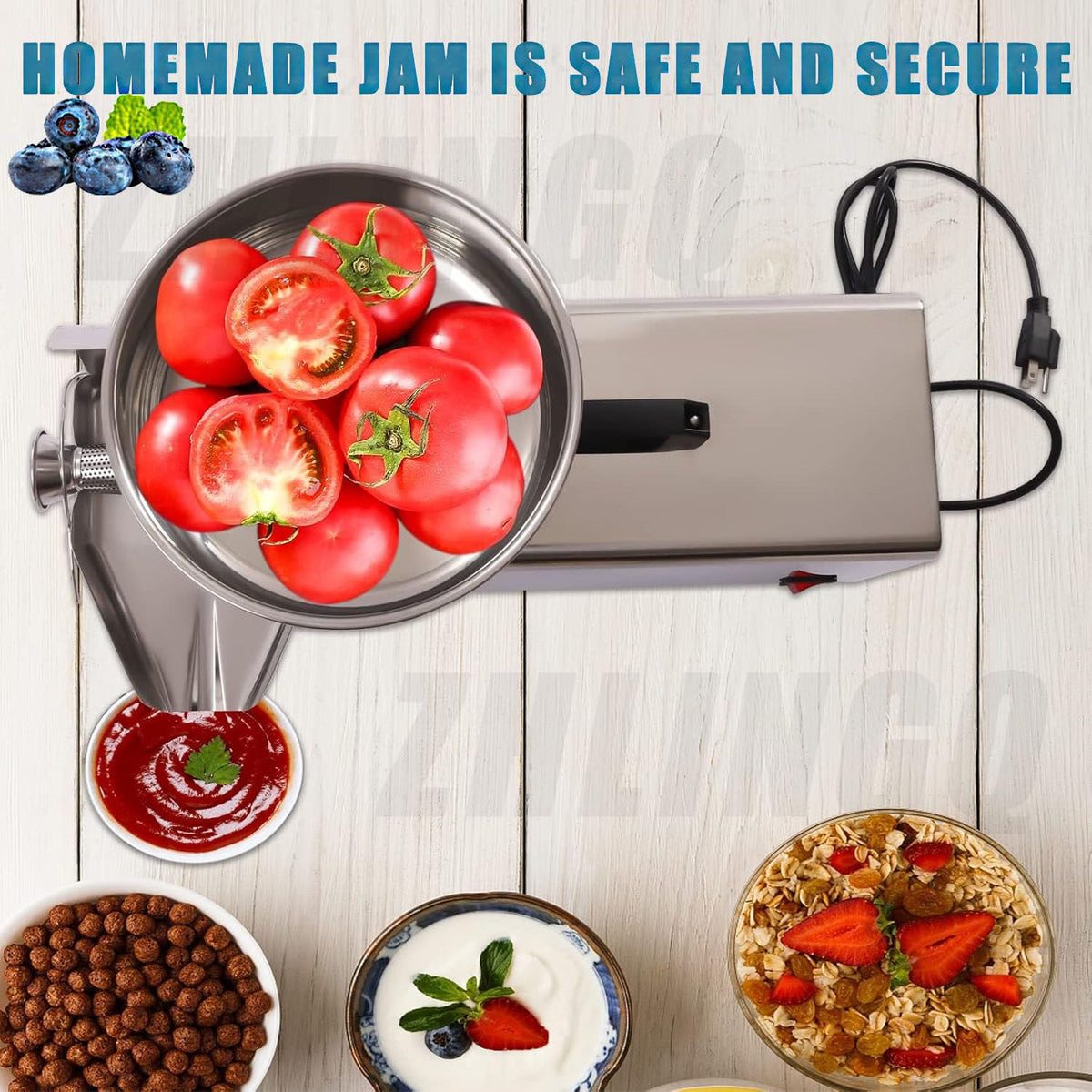 450W Stainless Steel Electric Tomato Strainer Q4335