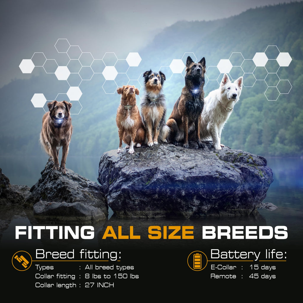 Dog Training Collar with Remote S18989