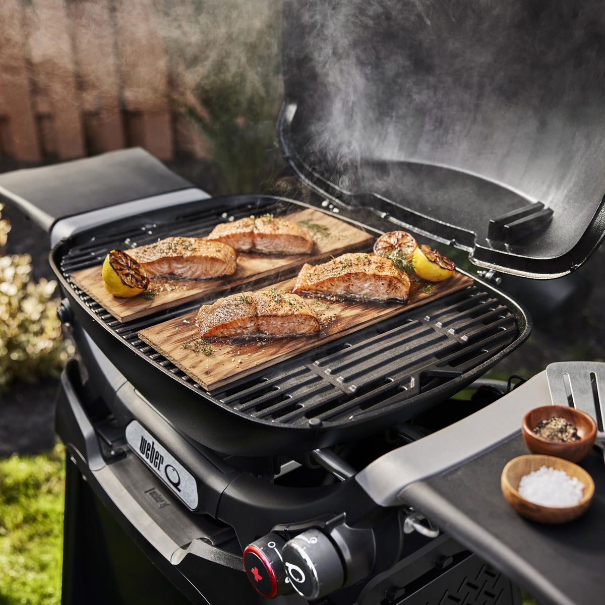 Liquid Propane Grill with Stand A2836