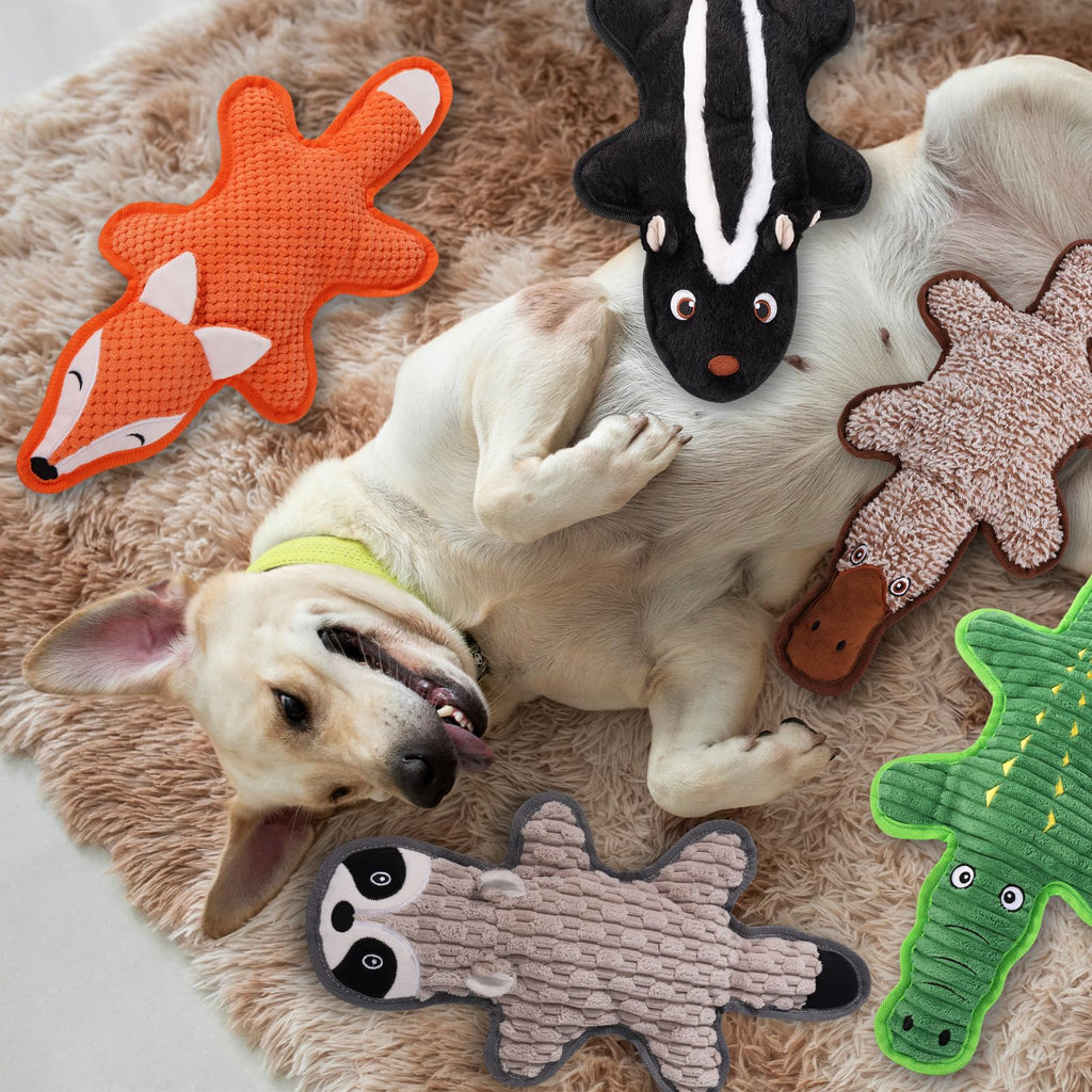 5 Pack Squeaky Plush Dog Toys with Crinkle Paper A157