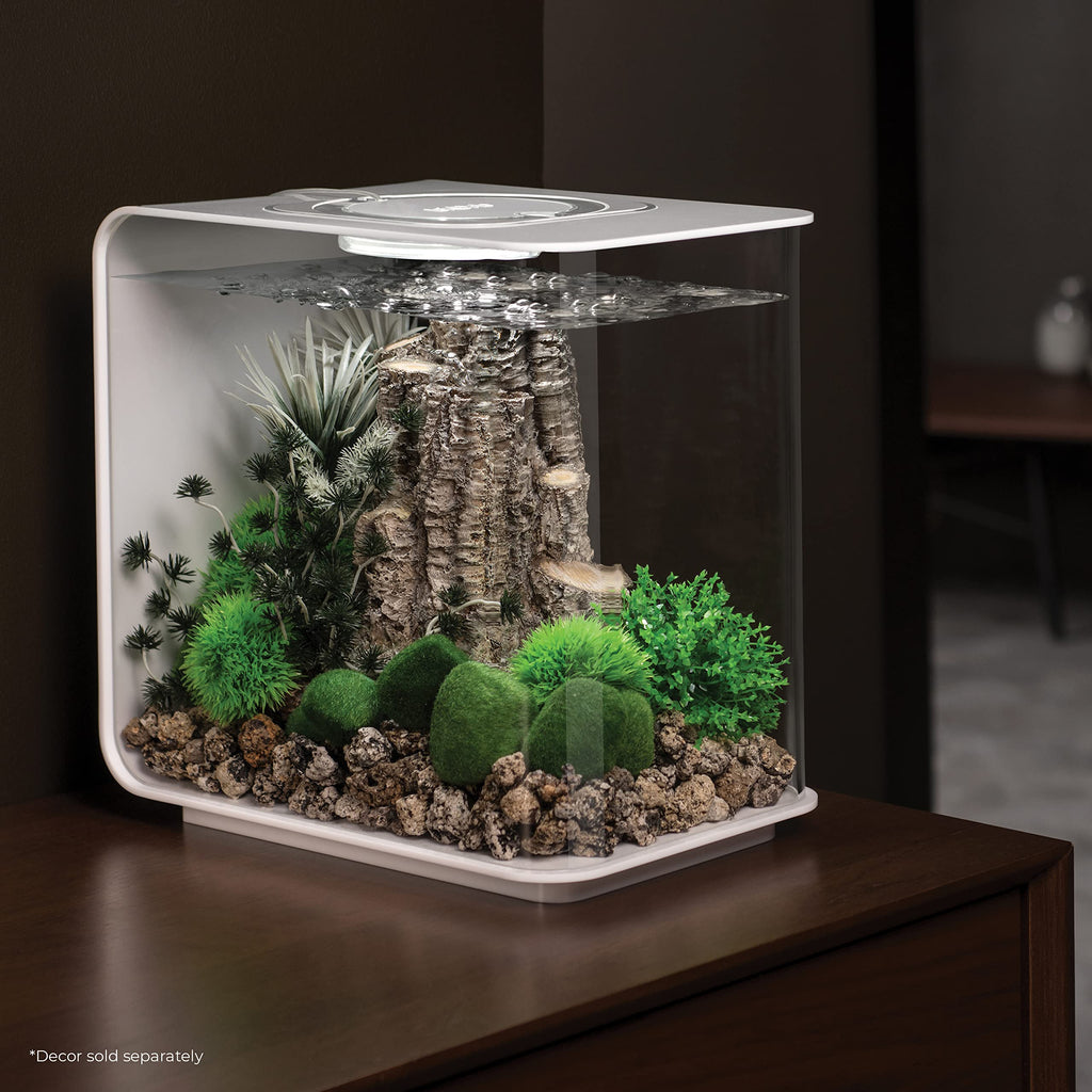 15 Acrylic Aquarium with White LED Lights O41040