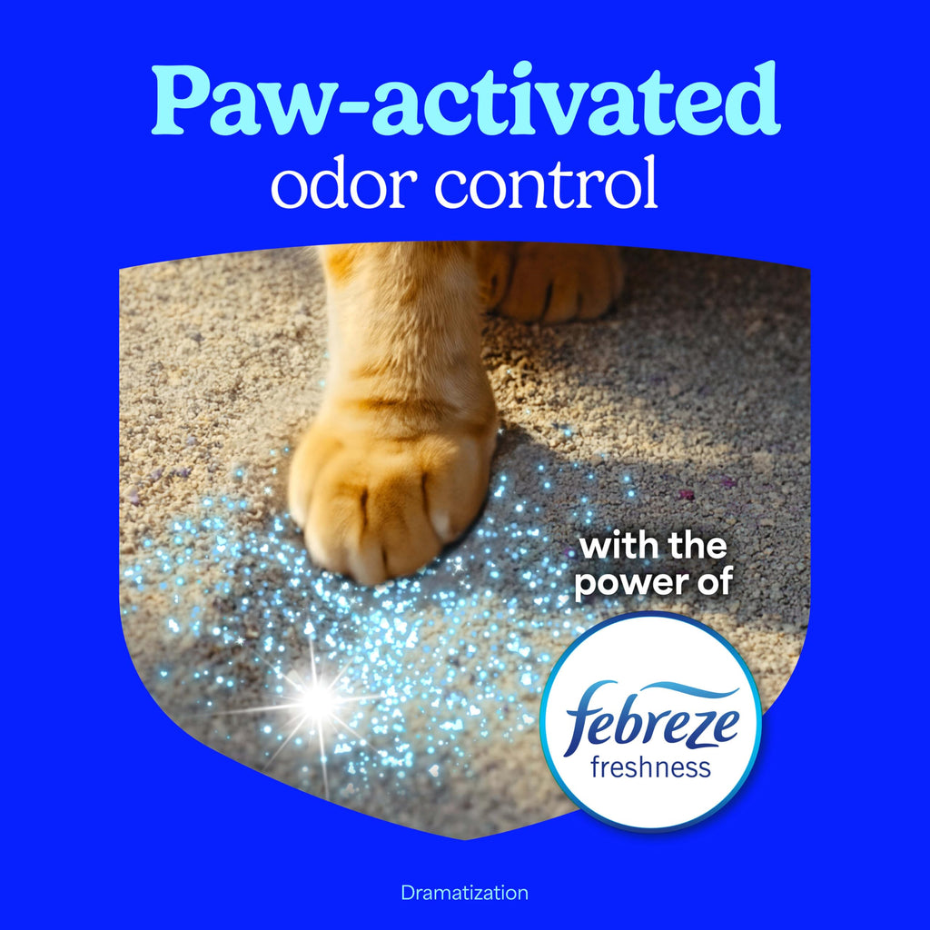 Non Clumping Cat Litter with Odor Control, 21 lb. Bag Y425