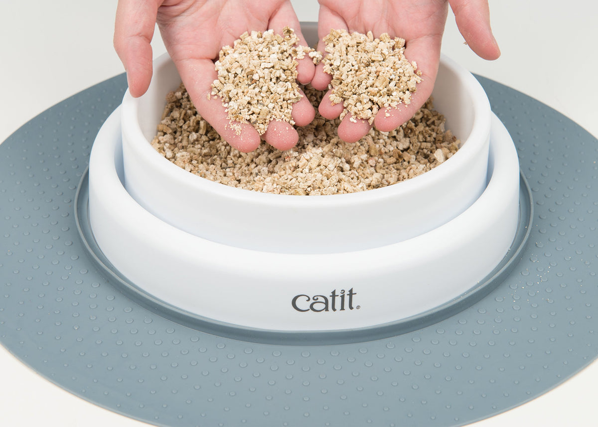 Cat Grass Seeds Set of 3 Q880263