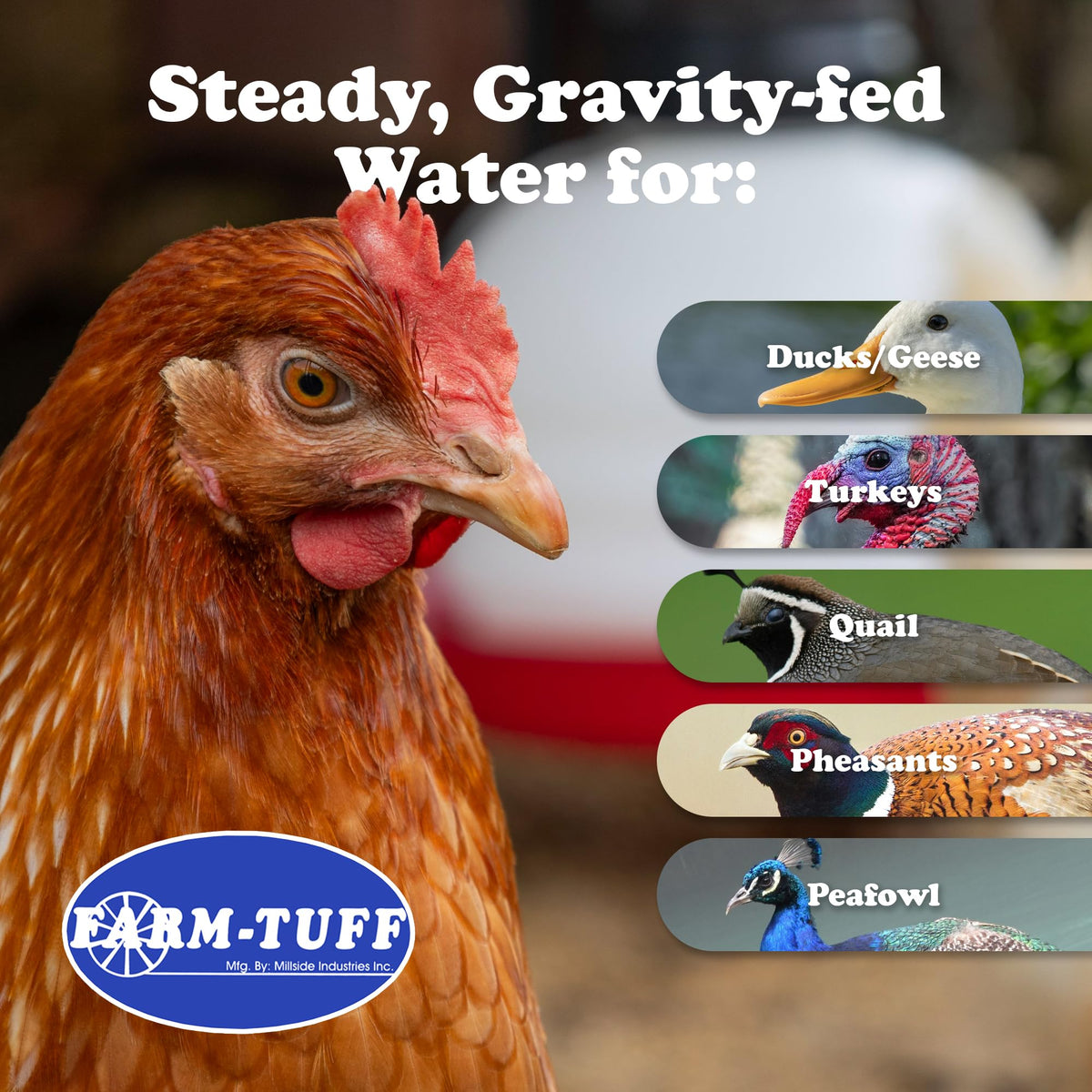 3 Gallon BPA-Free Plastic Hanging Chicken Waterer R804991
