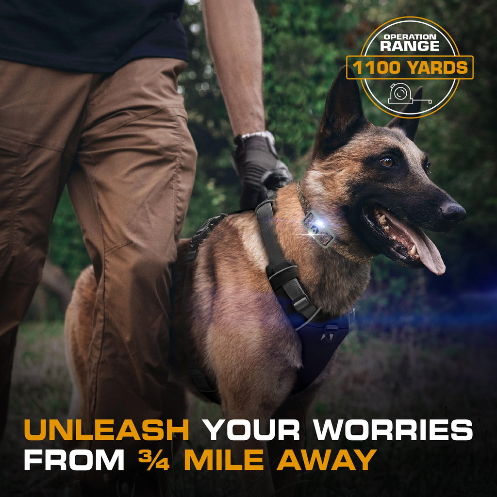 Dog Training Collar with Remote S18989