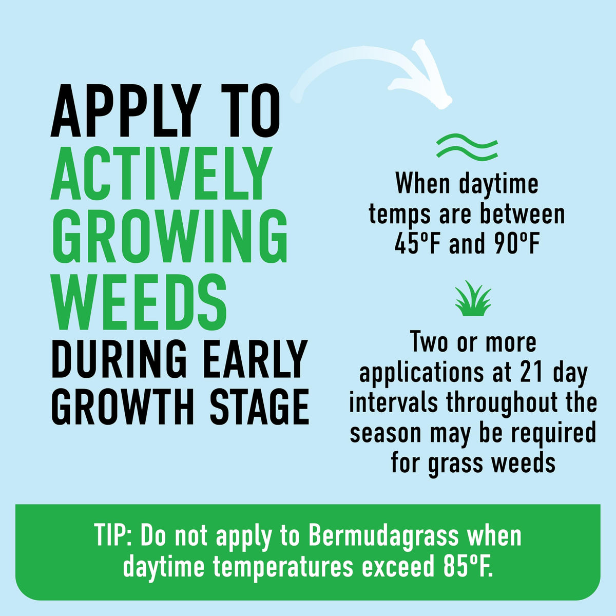 Tough Weed Killer for Northern Grasses D80304