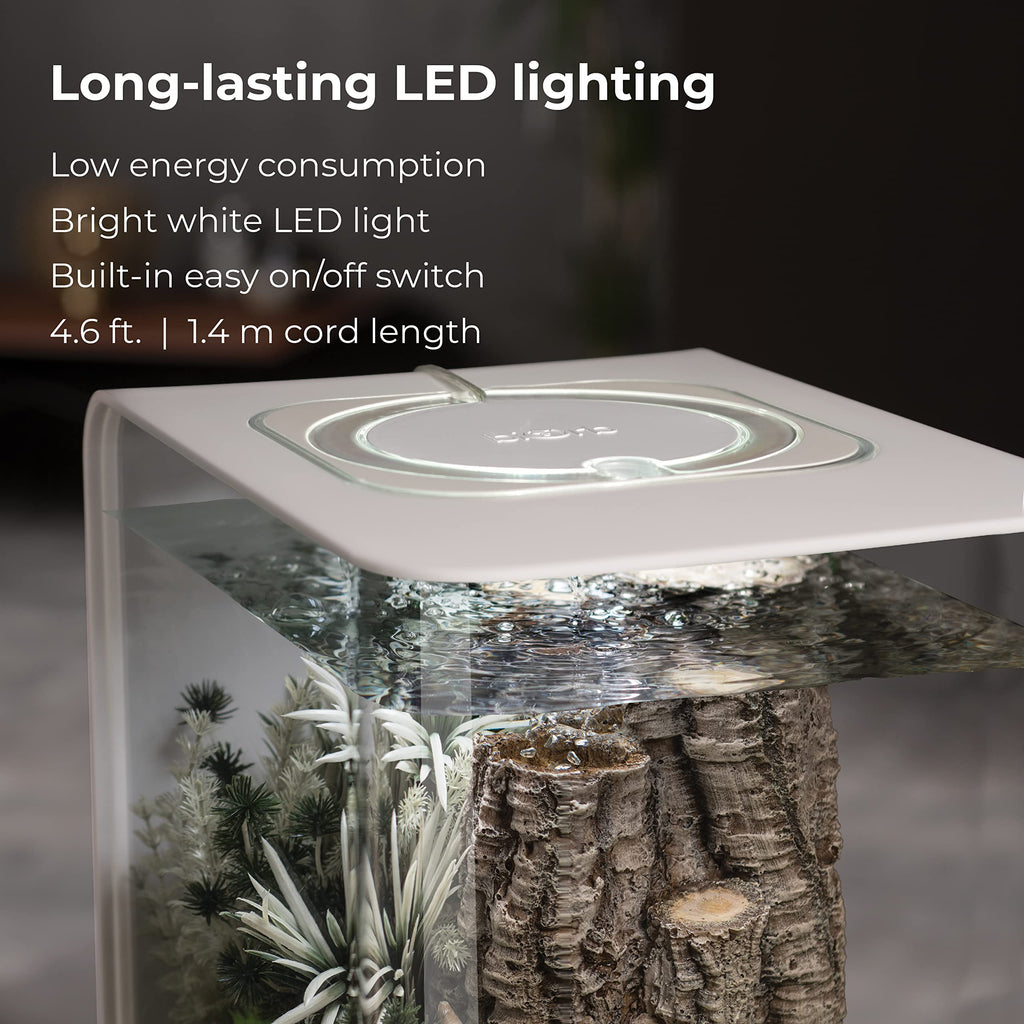 15 Acrylic Aquarium with White LED Lights O41040