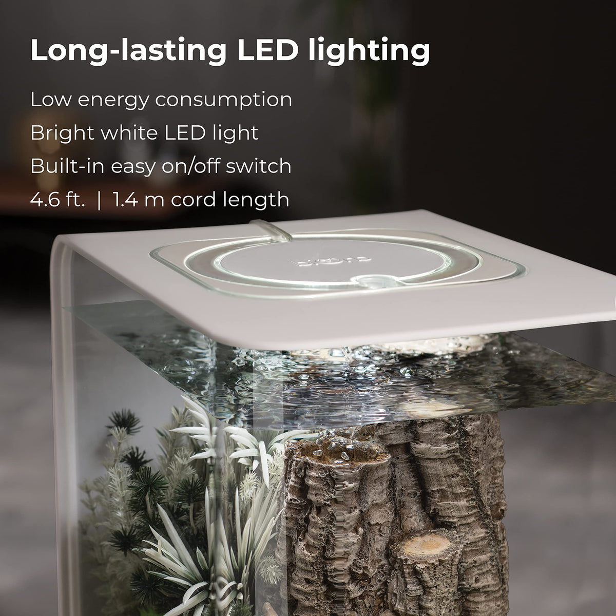 15 Acrylic Aquarium with White LED Lights O41040