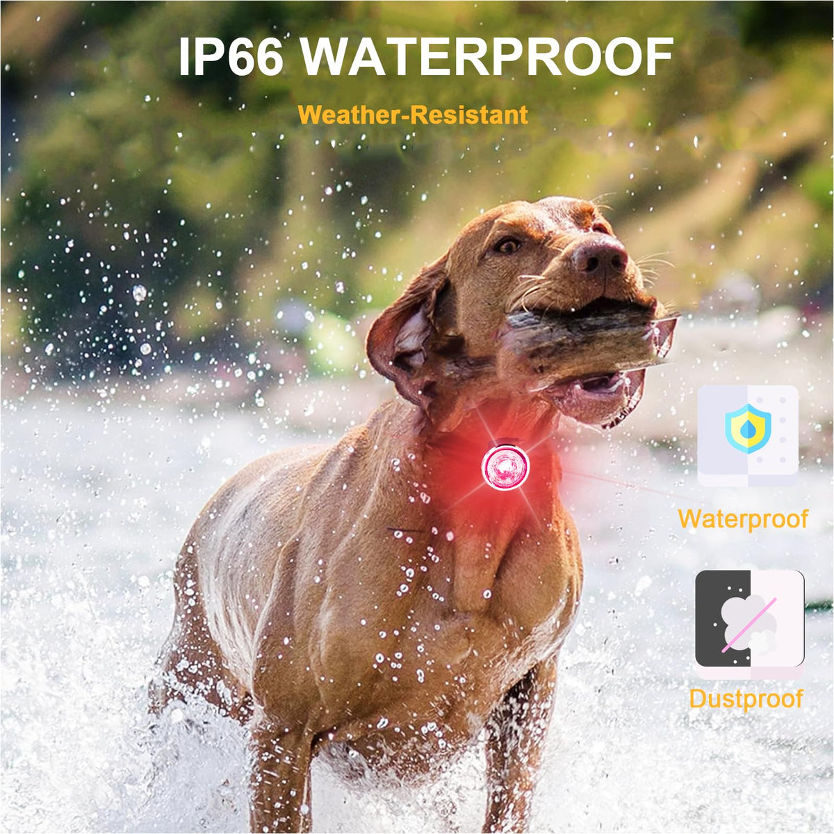 2-Pack Rechargeable Dog Collar Lights T221570