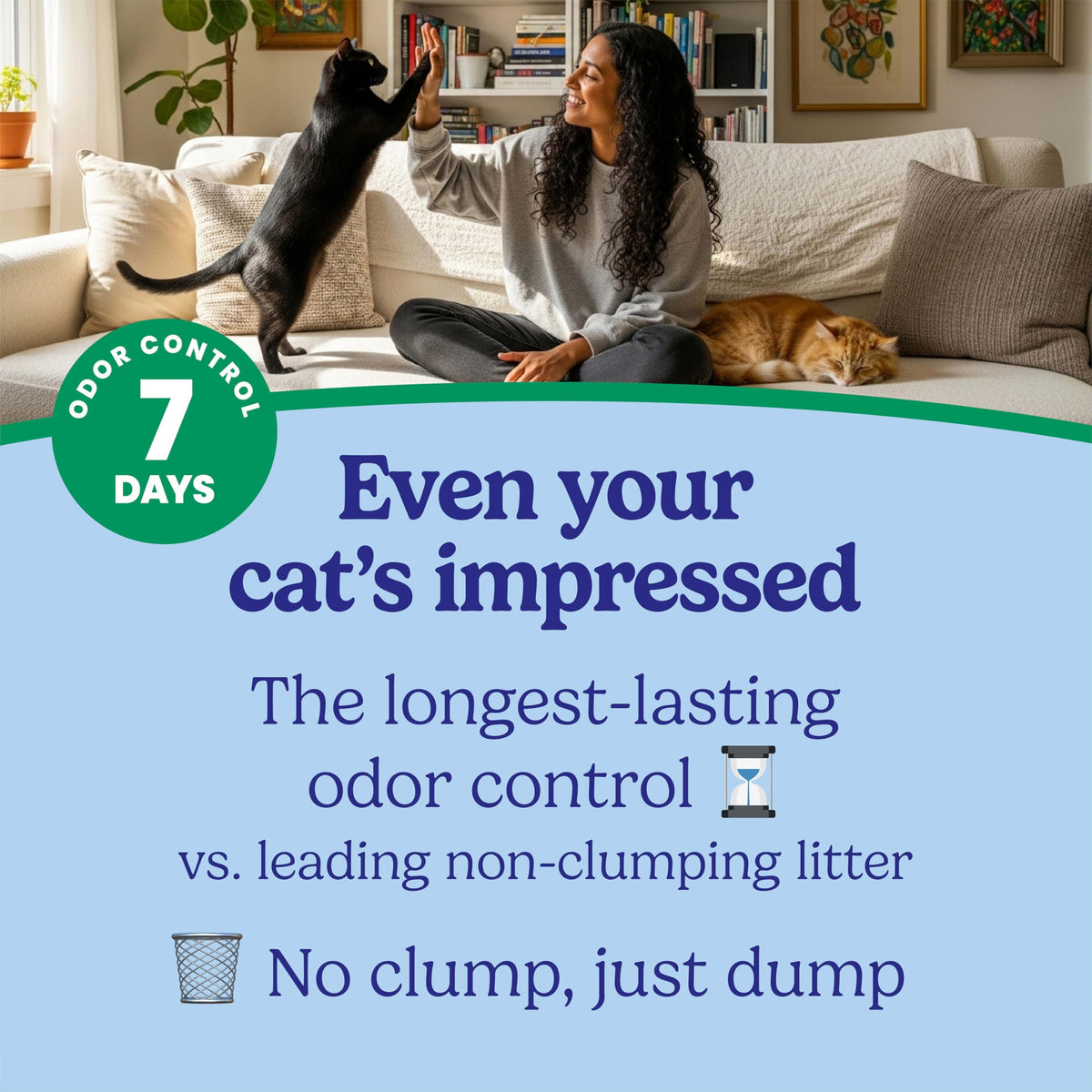 Non Clumping Cat Litter with Odor Control, 21 lb. Bag Y425