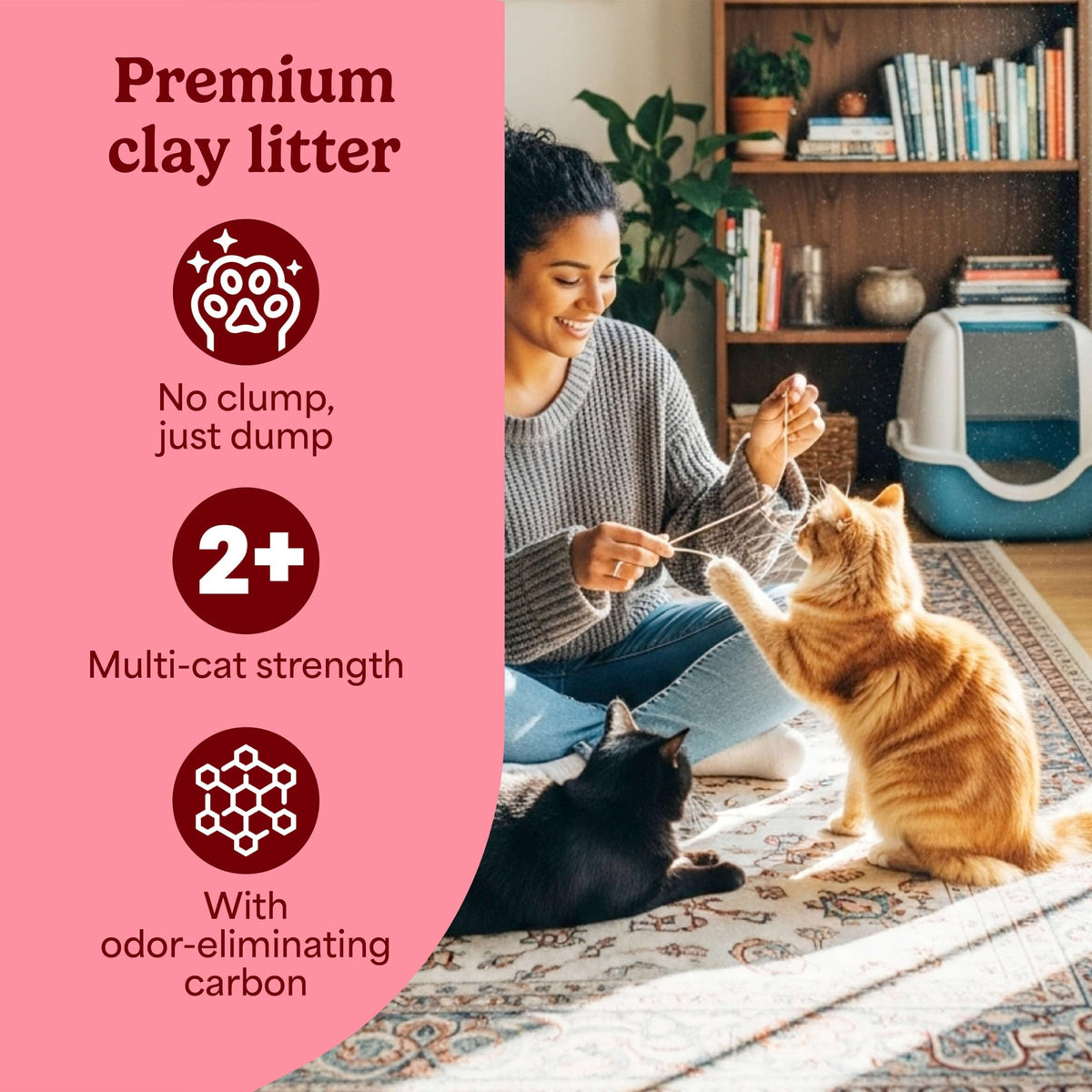 Non Clumping Cat Litter with Odor Control, 21 lb. Bag Y425