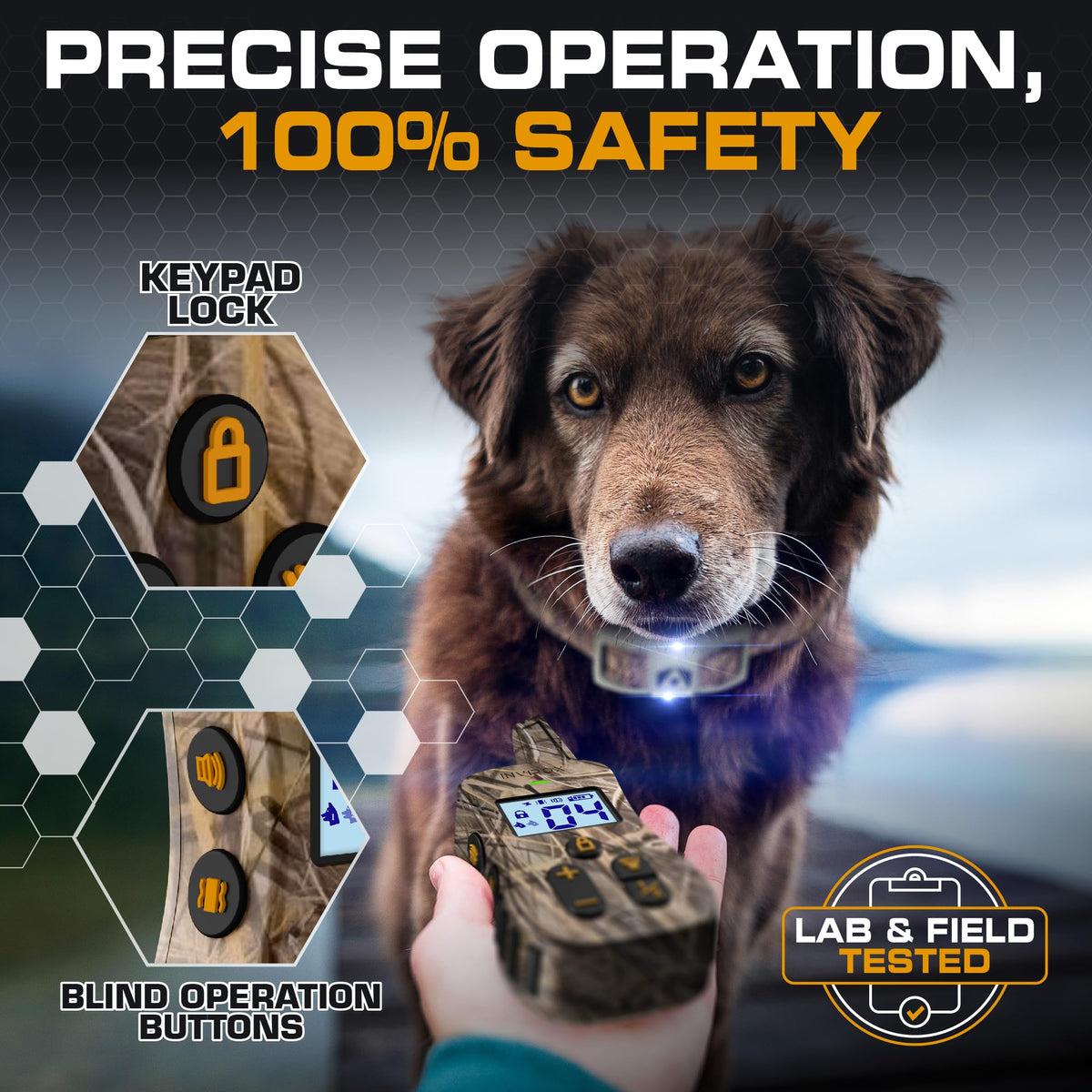 Dog Training Collar with Remote S18989