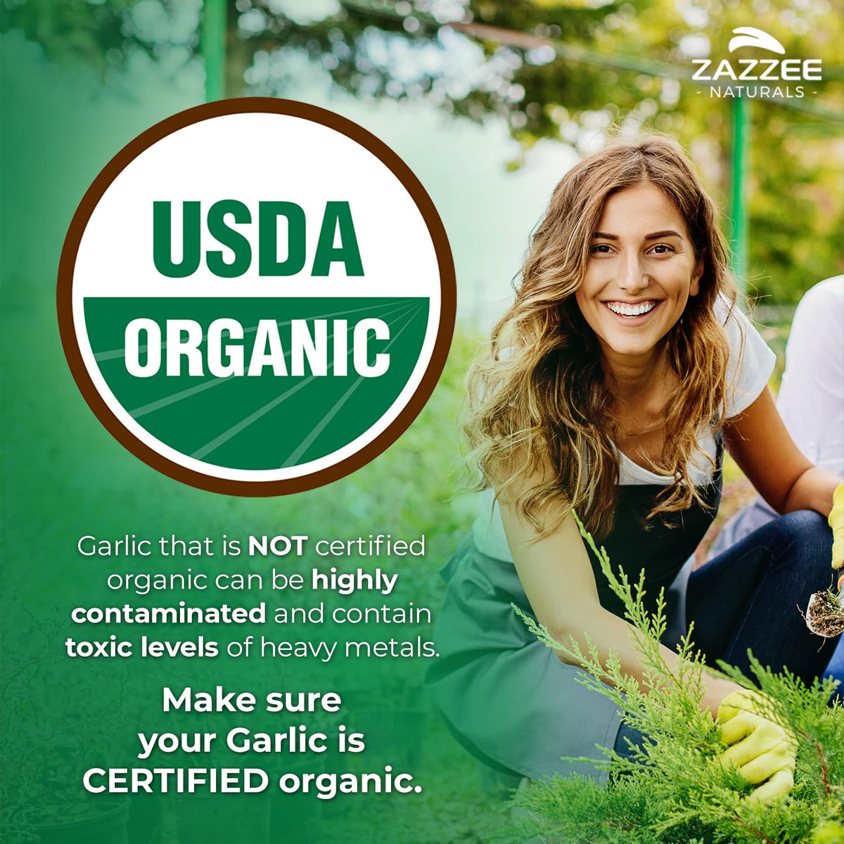 USDA Organic Aged Garlic 20:1 Extract J931