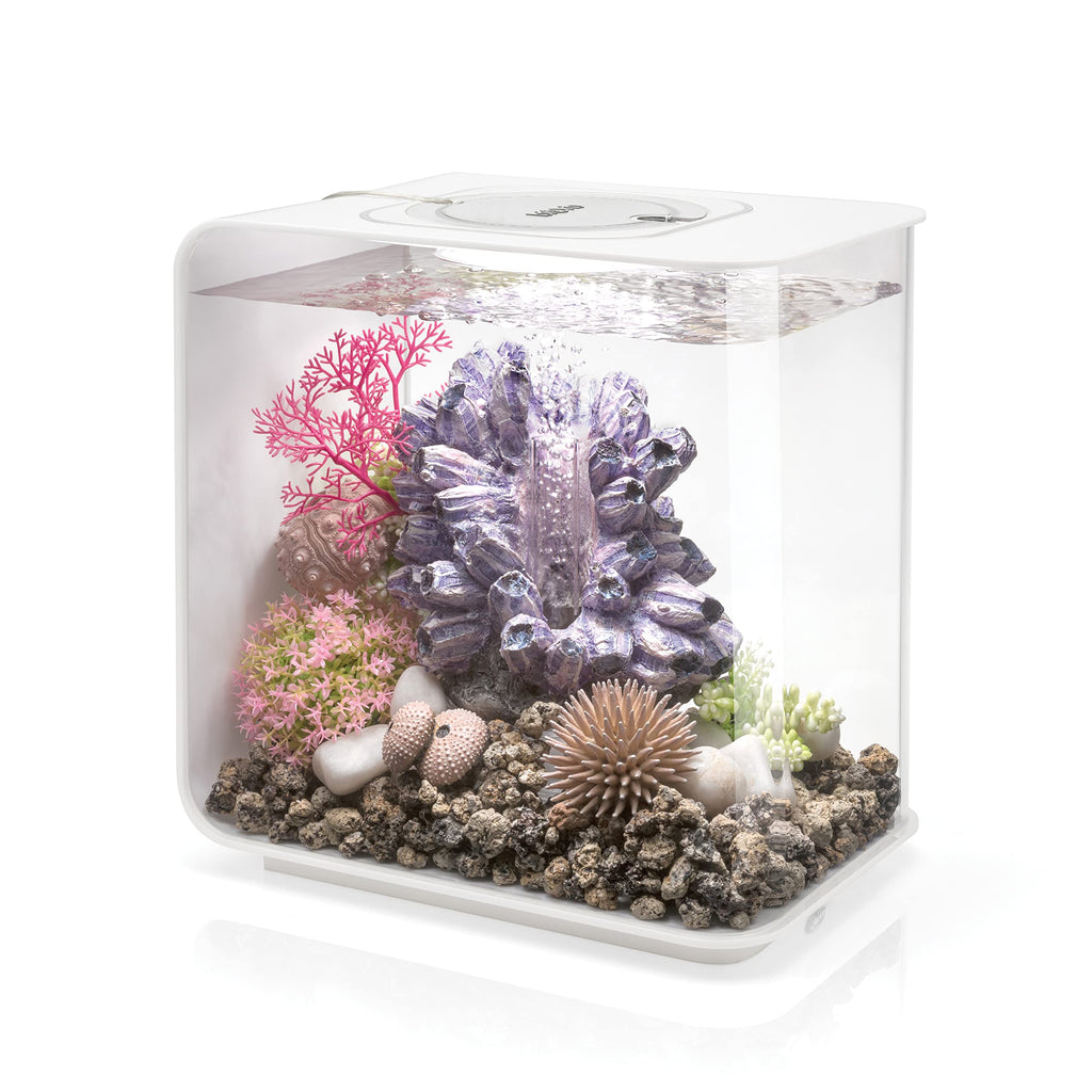 15 Acrylic Aquarium with White LED Lights O41040