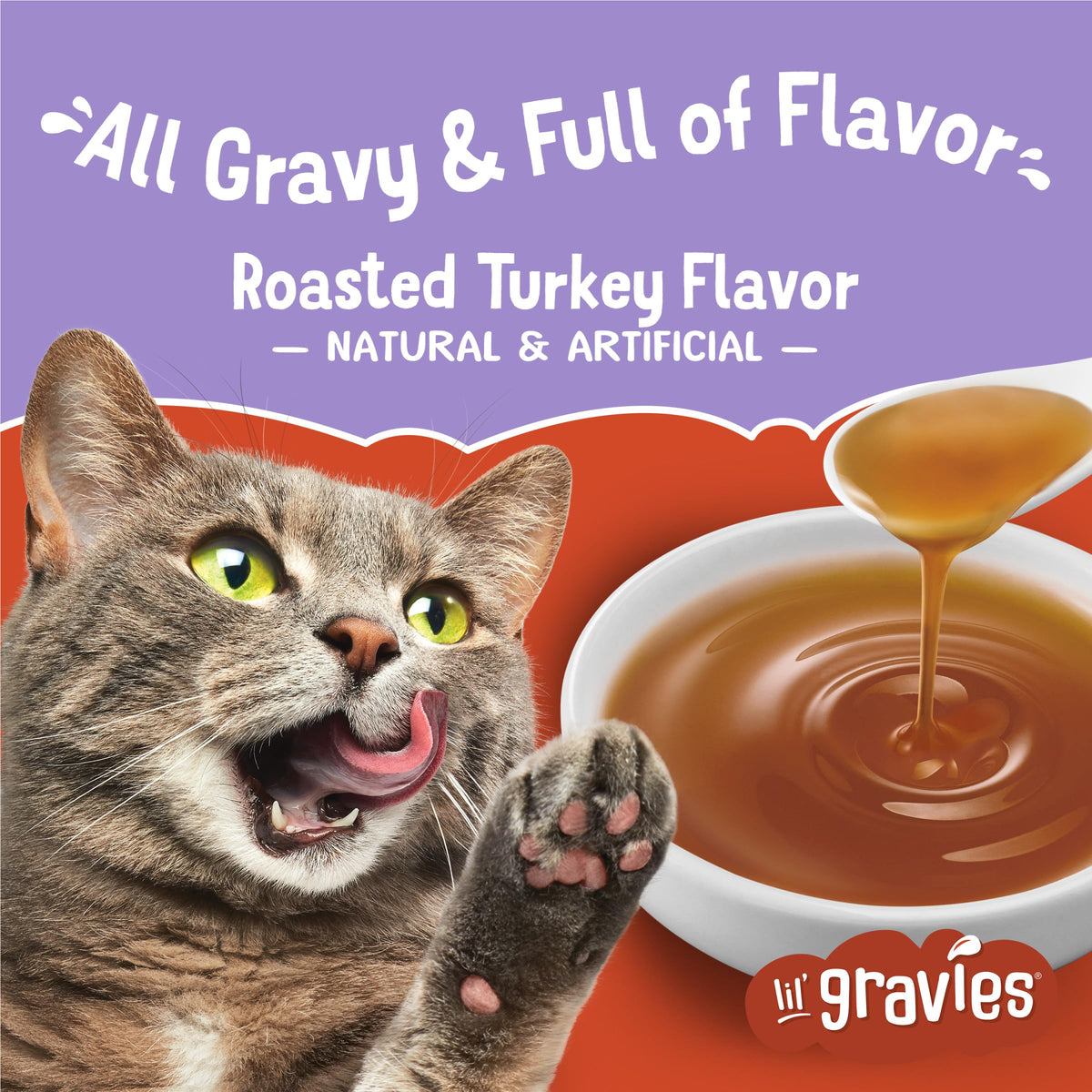 1.55 oz Cat Food Complement Pouches L704