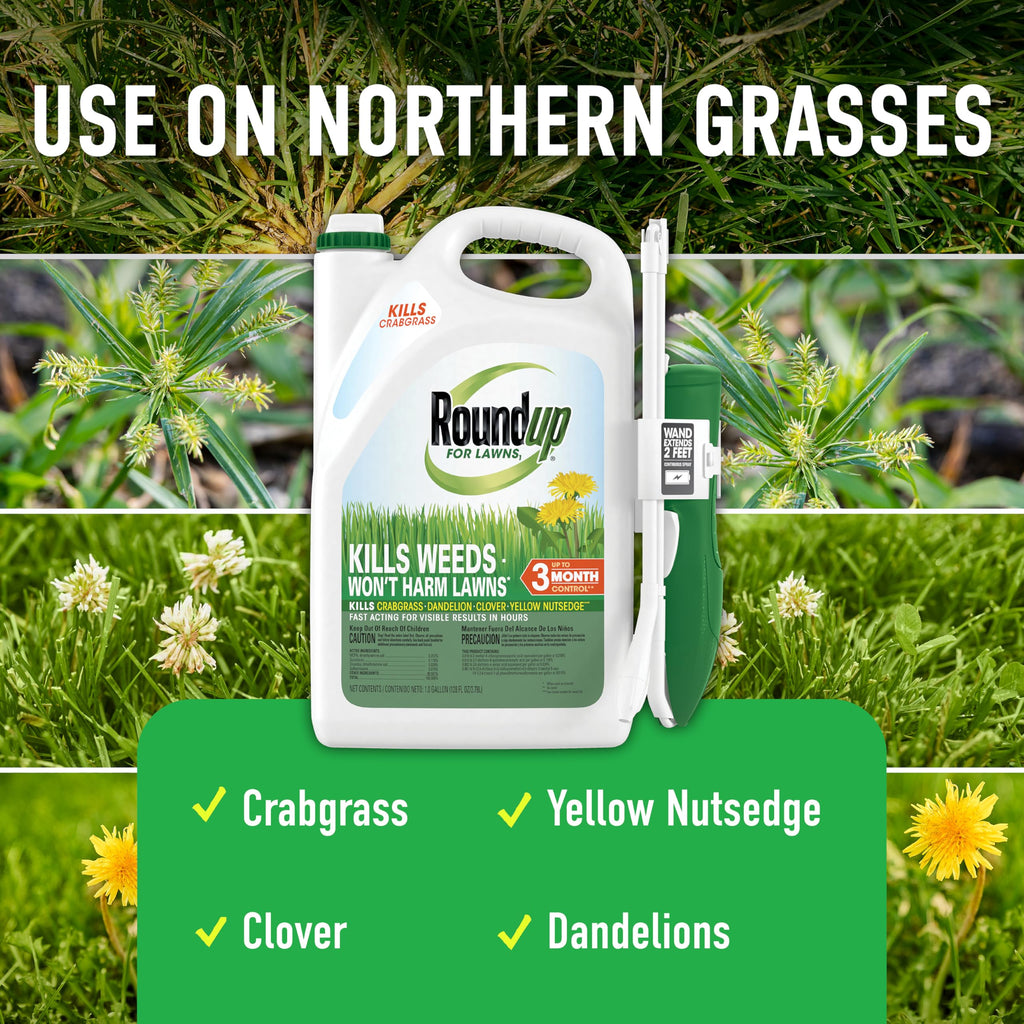 Tough Weed Killer for Northern Grasses D80304